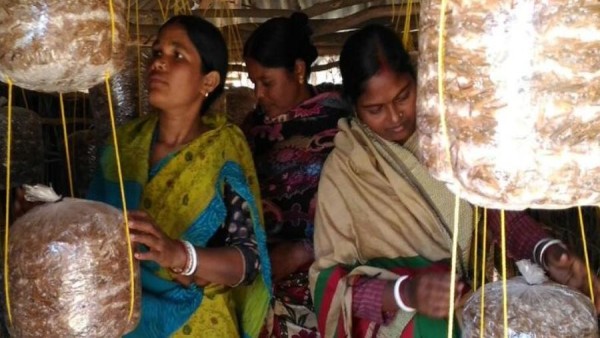 Womens Self Help Group Womens Self Help Group