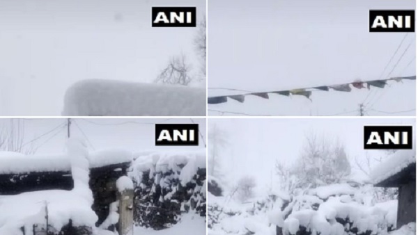 सफेद बर्फ की चादर में लिपटा हिमाचल
