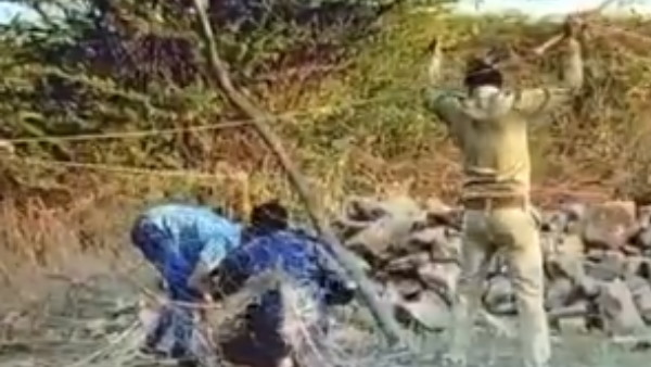 शोधकर्ताओं ने सुनी शावक की आवाज