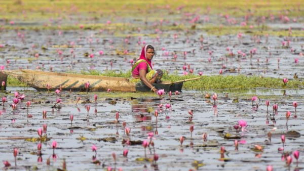 म्युनिसिपल परफॉर्मेंस इंडेक्स-2020