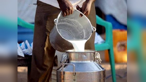 haryana farmers said- now milk will be sold to government-cooperative agencies 100 rupees/litre haryana farmers said- now milk will be sold to government-cooperative agencies 100 rupees/litre