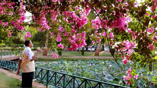 All gardens and parks in Ahmedabad to remain closed due to COVID19, surat city bus service stopped also All gardens and parks in Ahmedabad to remain closed due to COVID19, surat city bus service stopped also