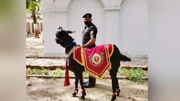 मुन्ना हवलदार की जानें इंडियन आर्मी ज्वाइन करने की पूरी कहानी