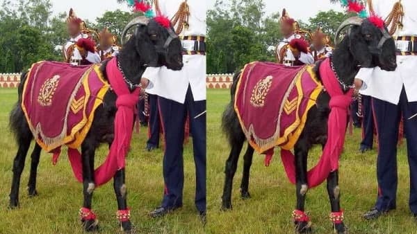 इंडियन आर्मी में मिली है मुन्ना हवलदार को सेना की ये वर्दी