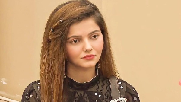 इस सीरियल में आएंगी नजर