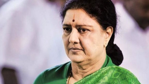 तंजौर जिले के मनारगुड़ी में हुआ जन्म