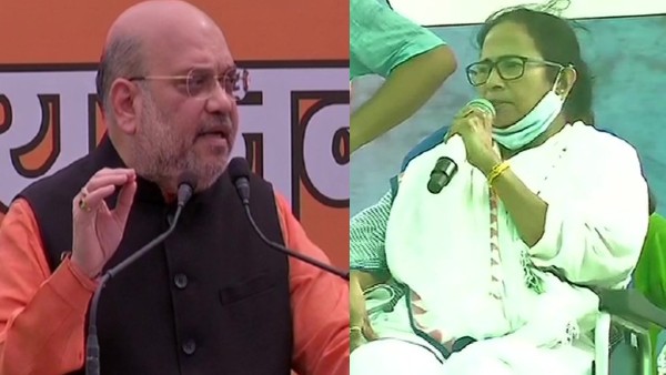 ममता ममता