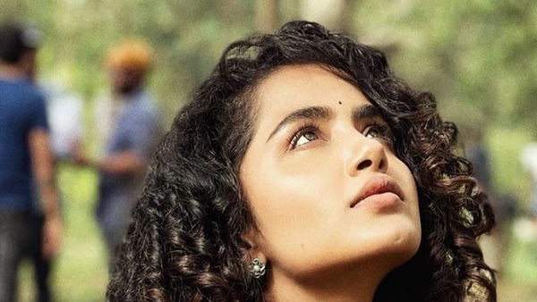 अनुपमा तेलुगु और मलयालम फिल्मों में काम कर चुकी हैं