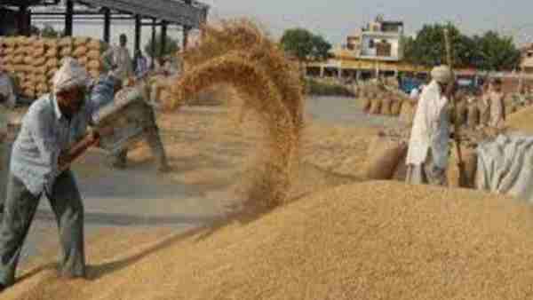 Yogi government sets minimum price for wheat procurement in Uttar Pradesh from April 1 Yogi government sets minimum price for wheat procurement in Uttar Pradesh from April 1