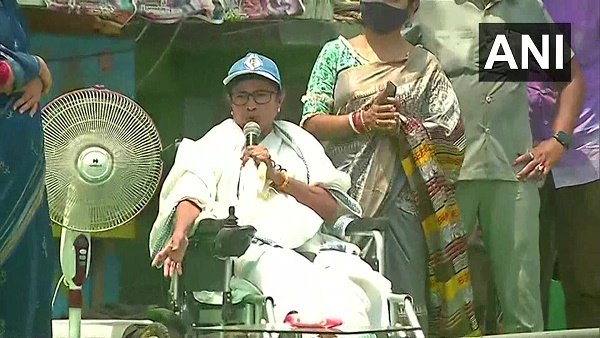 mamta mamta