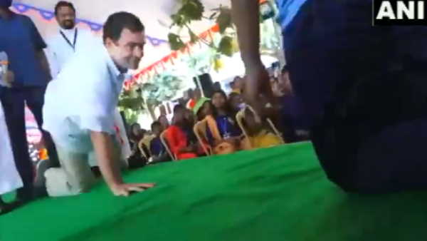 स्वरा भाष्कर ने वीडियो शेयर कर राहुल गांधी के लिए लिखी ये बात