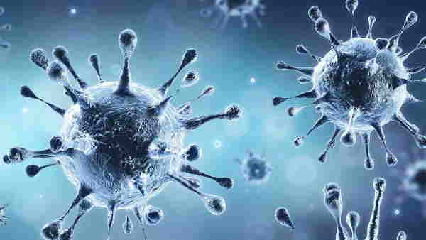 bihar coronavirus update 1080 new case of covid 19 bihar coronavirus update 1080 new case of covid 19