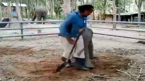 इस शख्स ने वीडियो किया है शेयर