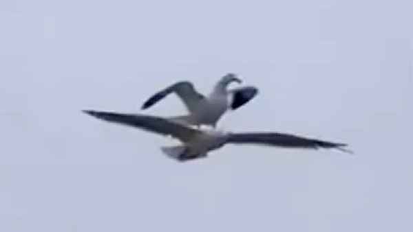 लोगों को आई टाइटैनिक फिल्म के पॉपुलर सीन की याद