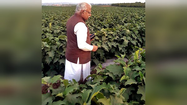 Kisan Mitra: Now the government will start modern farming with farmers, this scheme will be started soon in Haryana Kisan Mitra: Now the government will start modern farming with farmers, this scheme will be started soon in Haryana