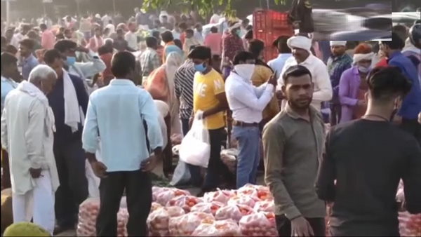 huge crowd in vegetables market of Moradabad Uttar Pradesh, people were seen without mask, breaking Social distancing huge crowd in vegetables market of Moradabad Uttar Pradesh, people were seen without mask, breaking Social distancing