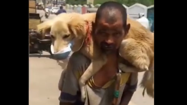 Corona crisis man put the dog on his shoulder and wore a mask Emotionalvideo viral Corona crisis man put the dog on his shoulder and wore a mask Emotionalvideo viral