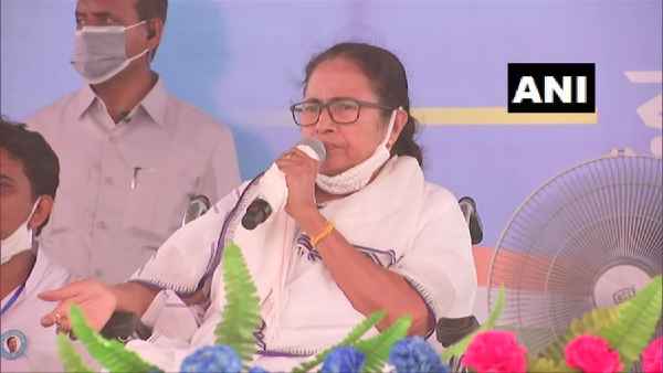 mamta mamta