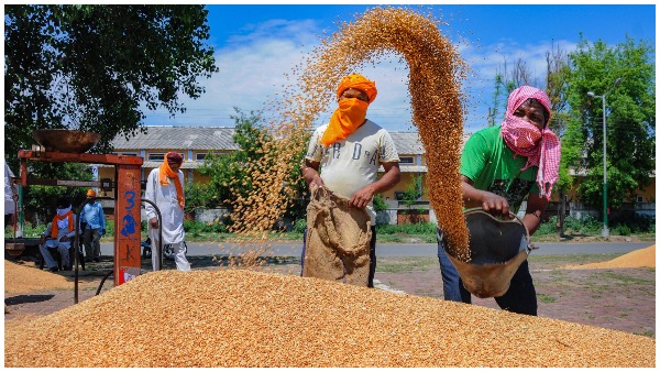 पाकिस्तान ने मांगा सेंधा नमक का टैग