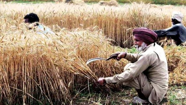 Government of Haryana provides Agricultural Equipment Grant by online application Government of Haryana provides Agricultural Equipment Grant by online application