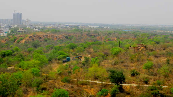 Natural Conservation Zone, Haryana Natural Conservation Zone, Haryana