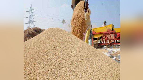 crop purchase in haryana: now farmers themselves will decide the day of bringing wheat crop purchase in haryana: now farmers themselves will decide the day of bringing wheat