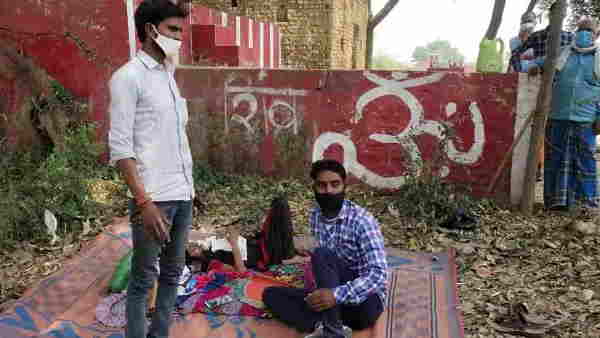 corona patient lie die down under the peepal tree corona patient lie die down under the peepal tree