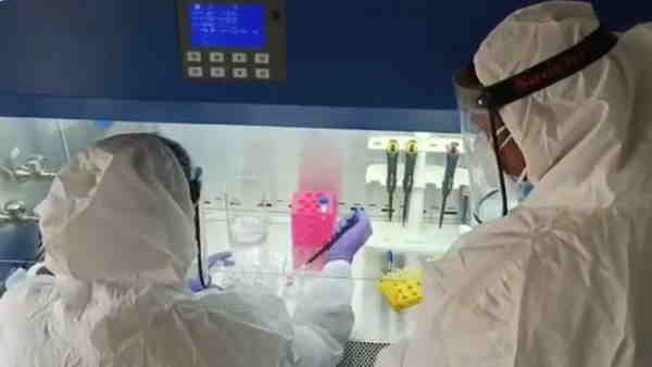 Coronavirus Coronavirus