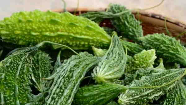Karela Karela