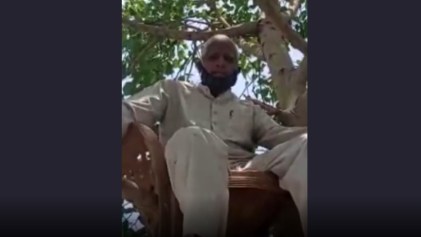 पीपल के पेड़ पर कुर्सी को बांधा