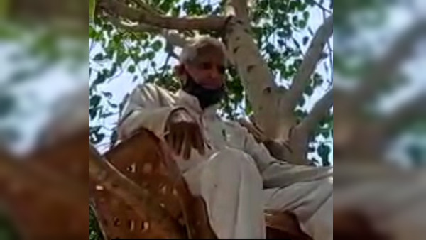पीपल के पेड़ से अच्छा ऑक्सीजन दाता