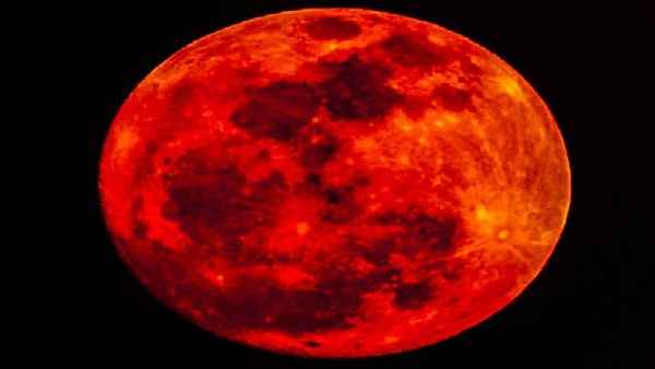 bloodmoon bloodmoon
