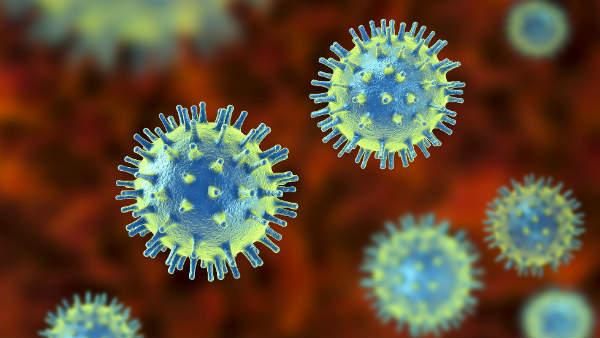 corona virus corona virus