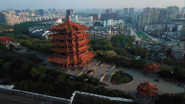विश्व स्वास्थ्य संगठन की जांच में क्या हुआ था ?