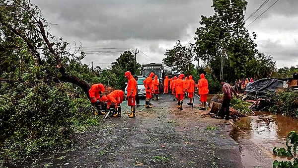 hundreds of crores crops loss due to cyclonic storm in gujarat, 75% loss to mango gardens hundreds of crores crops loss due to cyclonic storm in gujarat, 75% loss to mango gardens