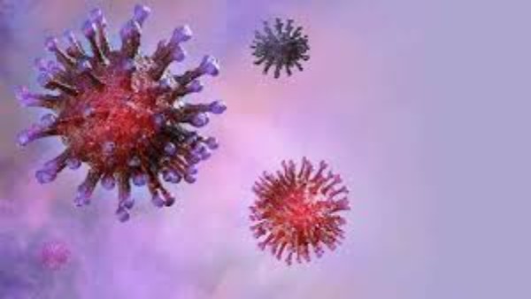 coronavirus coronavirus