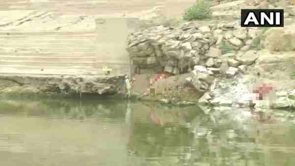 Ghazipur News: Bodies seen in and around river Ganga Ghazipur News: Bodies seen in and around river Ganga