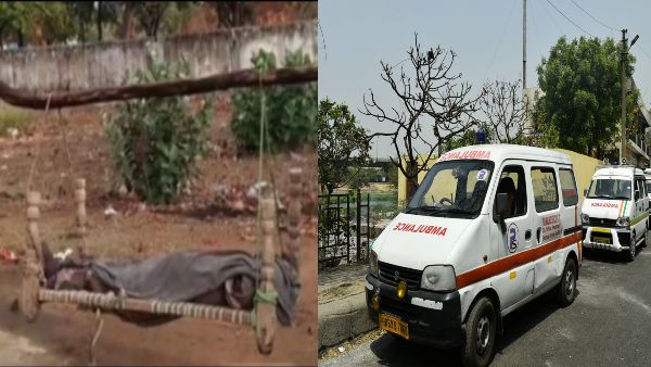 cot daughter dead body cot daughter dead body