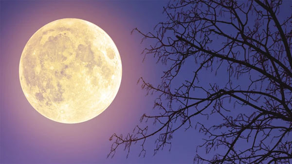 Super Blood Moon Why is the lunar eclipse on May 26 special? Super Blood Moon Why is the lunar eclipse on May 26 special?