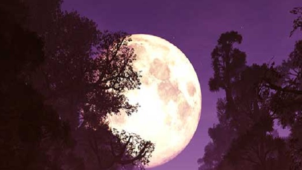 Chandra Darshan: चंद्र दर्शन आज,जानिए मुहूर्त-पूजा विधि Chandra Darshan: चंद्र दर्शन आज,जानिए मुहूर्त-पूजा विधि