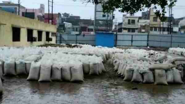 Greater Noida: rain damages around tonnes of wheat Greater Noida: rain damages around tonnes of wheat