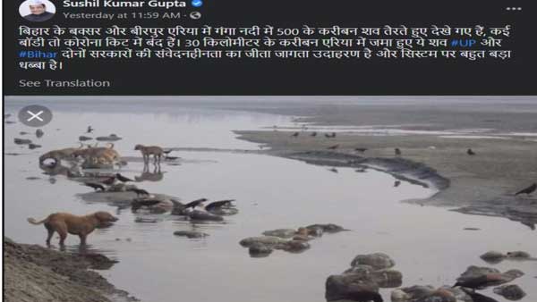 Fake Photographs of dead bodies floating in the river posted on social media Fake Photographs of dead bodies floating in the river posted on social media