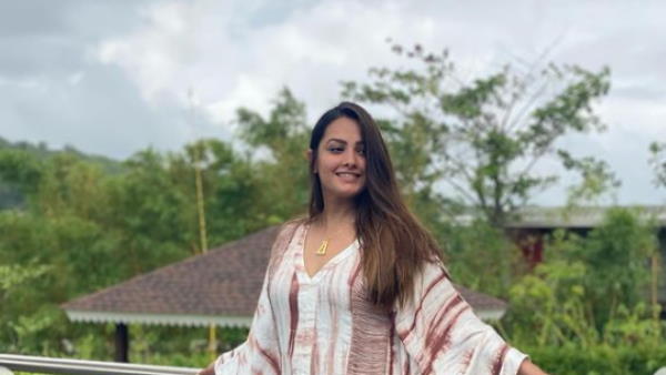 टीवी का लोकप्रिय चेहरा हैं अनीता