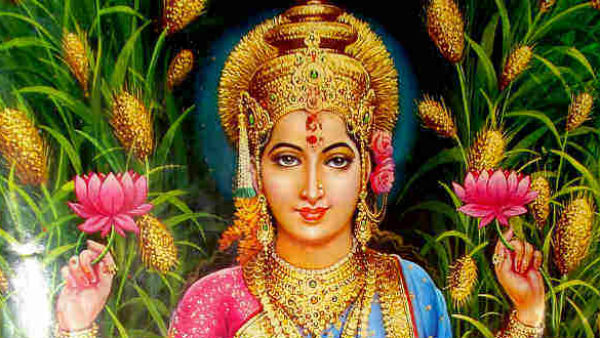 यहां पढे़ं लक्ष्मी चालीसा, जानें महत्व और लाभ यहां पढे़ं लक्ष्मी चालीसा, जानें महत्व और लाभ