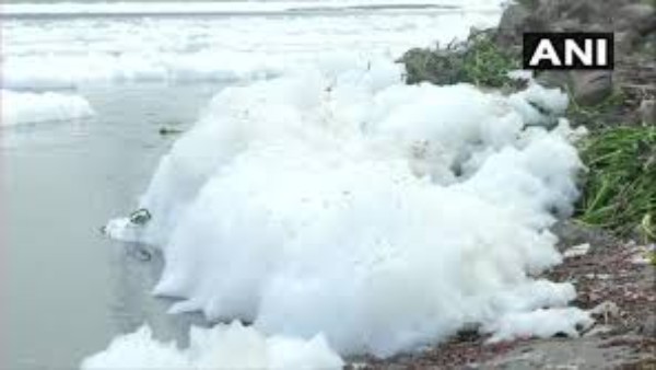 साल 2019 में वैश्विक स्तर पर बटोरी थीं सुर्खियां
