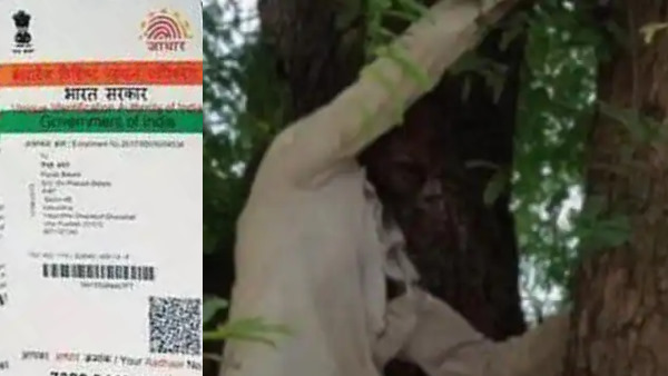 Kanwarlal scared of vaccine climbs tree with Wifes Aadhar card in Rajgarh madhya pradesh Kanwarlal scared of vaccine climbs tree with Wifes Aadhar card in Rajgarh madhya pradesh