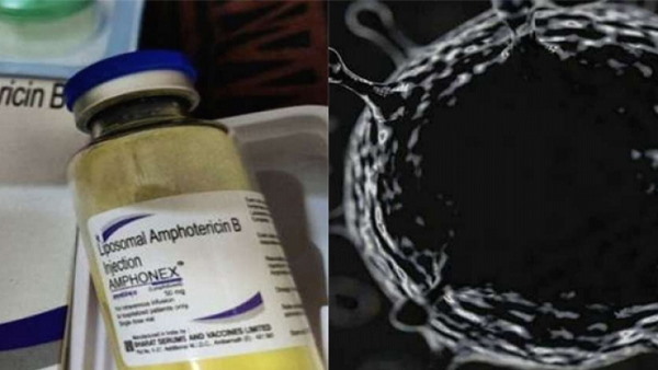 black fungus patients covid black fungus patients covid
