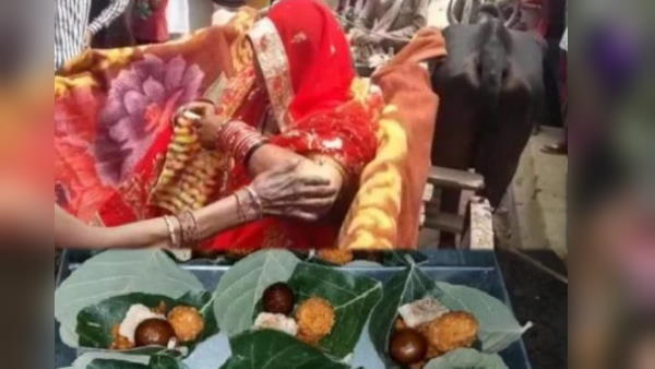 unique wedding in uttar pradesh banda give message of environment protection unique wedding in uttar pradesh banda give message of environment protection