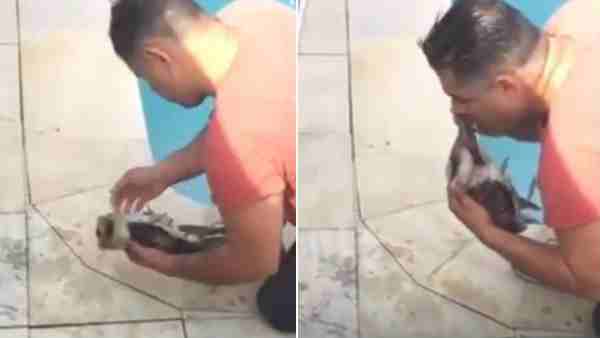 Man saves bird life by breathing through mouth video viral on social media Man saves bird life by breathing through mouth video viral on social media