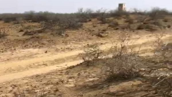 जवानों ने की अंधाधुंध फायरिंग